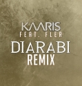 Kaaris feat Fler Diarabi (Remix)