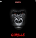 Maes - Gorille