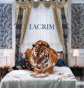 Lacrim – Lacrim Album Complet