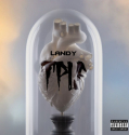 Landy - TPLF